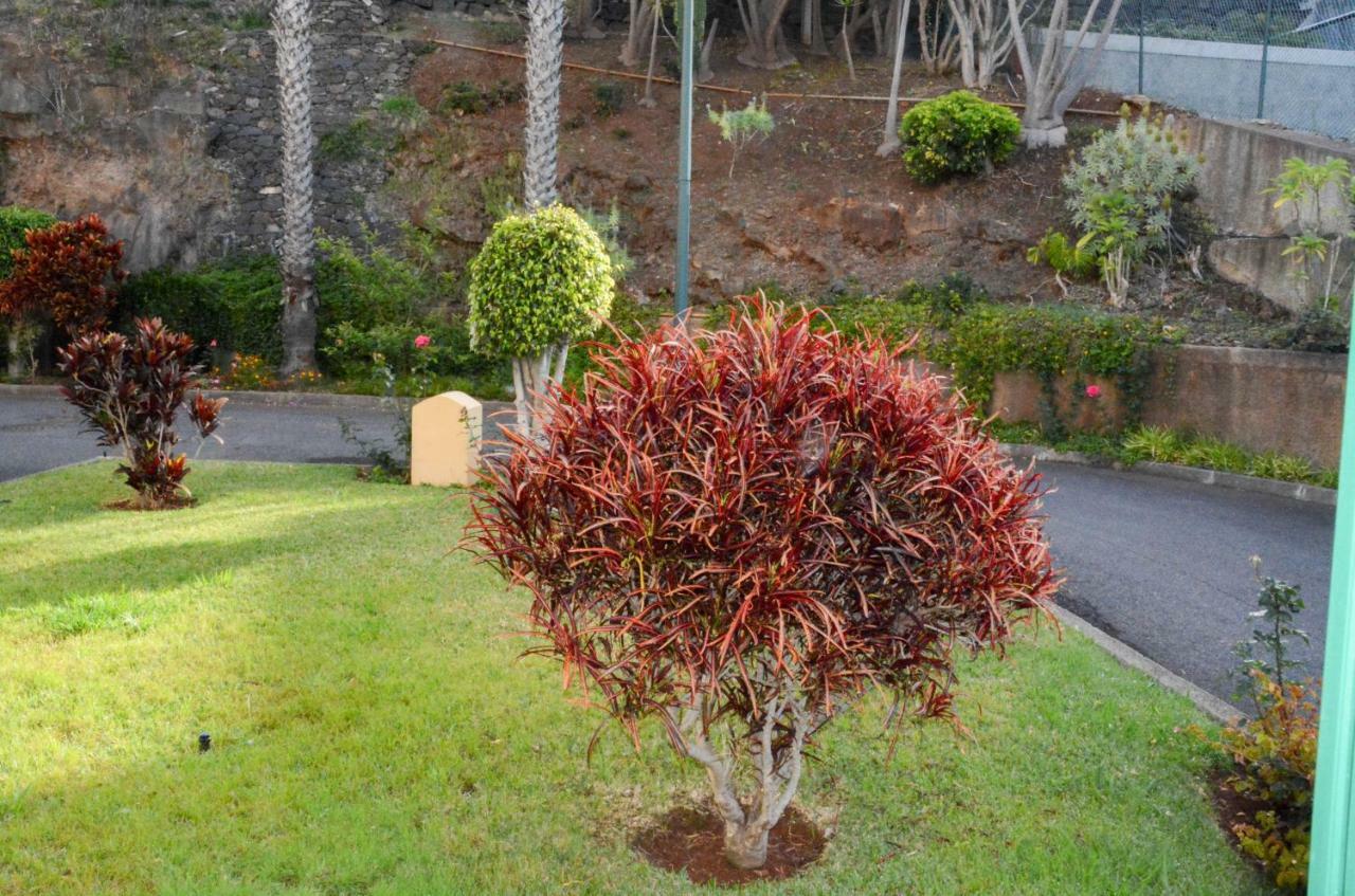 Vista Formosa Funchal Apartment Екстериор снимка